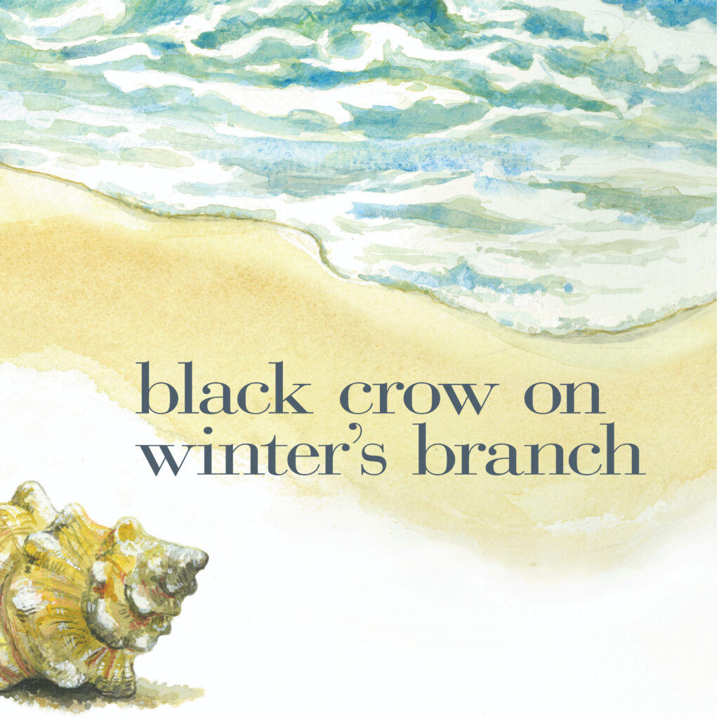 black crow on winter's branch