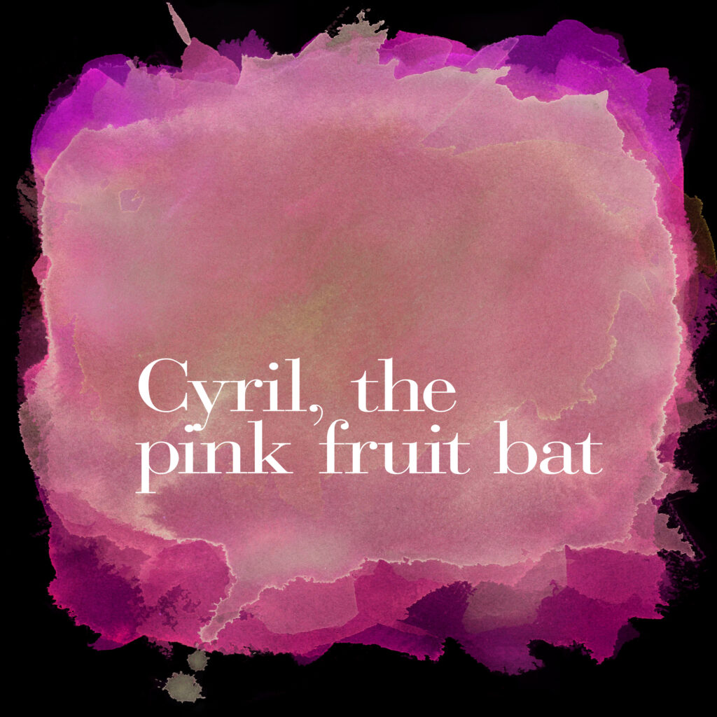 Cyril the pink fruit bat